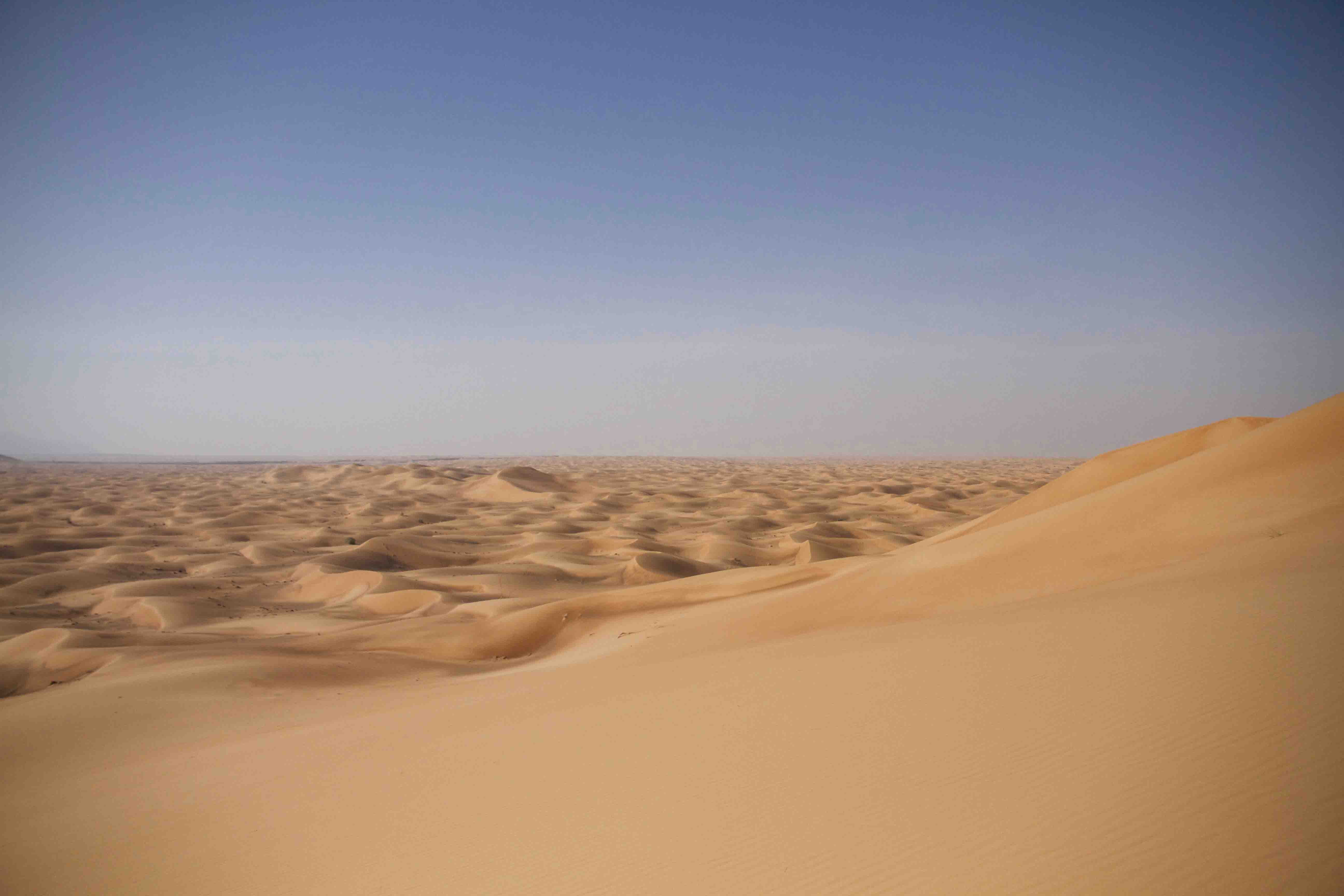 Desierto de Sharja